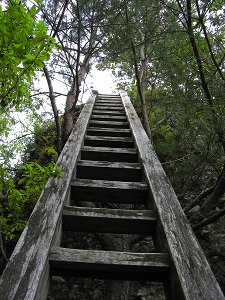 四国の山 (桑瀬峠・・・岩屋寺）_c0115938_14113454.jpg