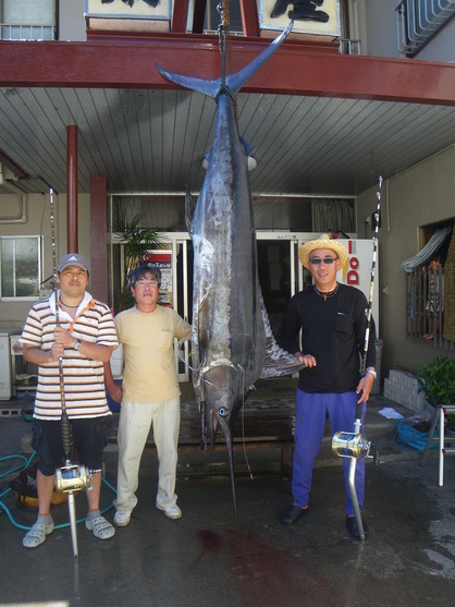 錦　鯛屋ハローズさん　連戦連勝今期9本目！【カジキ・マグロトローリング】_f0009039_11585491.jpg