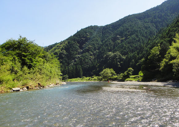 激シブな藁科川 ＆ 無法地帯の興津川 (￣~￣;)_a0056140_15381419.jpg