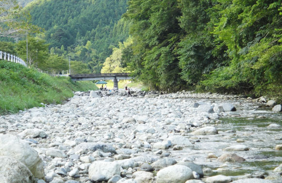 激シブな藁科川 ＆ 無法地帯の興津川 (￣~￣;)_a0056140_17135277.jpg