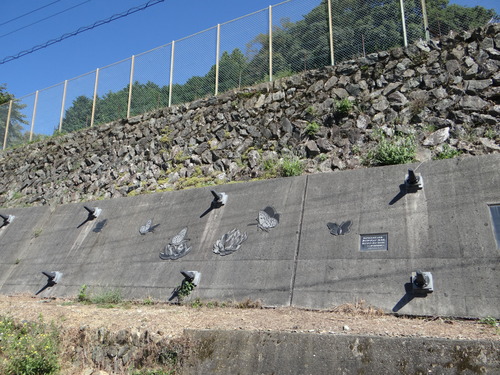 ツマグロキチョウ 天竜川20120827_d0254540_15541440.jpg