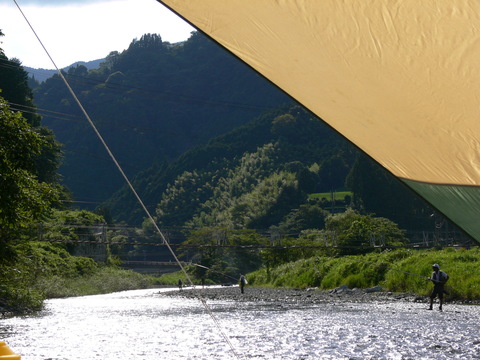 d0163941_11111256.jpg