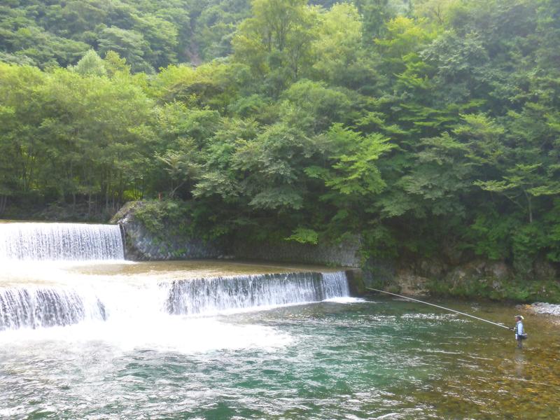 久々の夏休み～巌立峡（岐阜県）_a0170146_159431.jpg