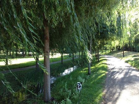 b0244348_0442167.jpg