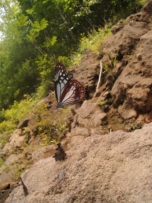 c0045352_19283099.jpg