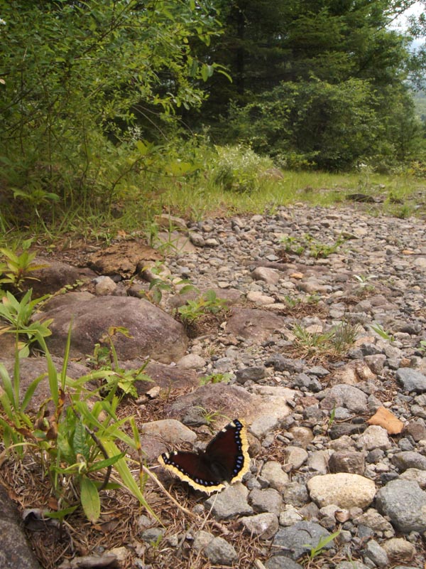 c0045352_19294677.jpg