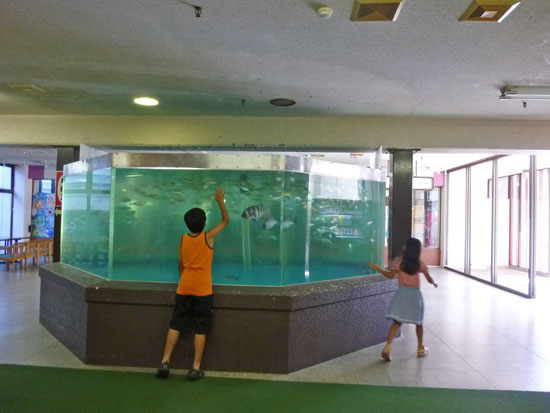 サンハトヤ 海底温泉 海の冒険 12年夏伊東ハトヤ旅行記4 あれも食べたい これも食べたい ｅｘ