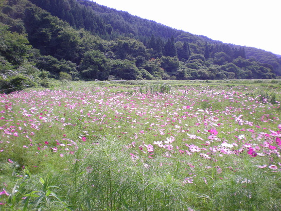 福島県いわき市。_a0118461_12425291.jpg