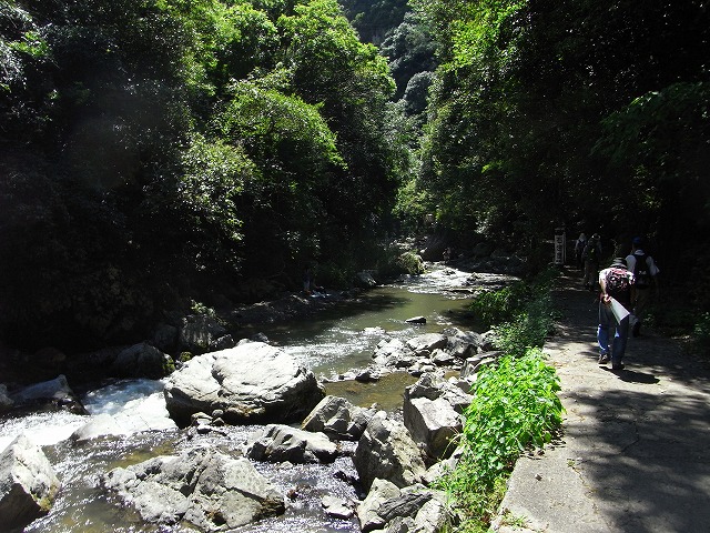 b0044663_1382163.jpg