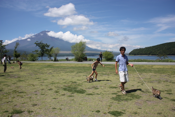 富士山のふもとで_f0126965_2044343.jpg