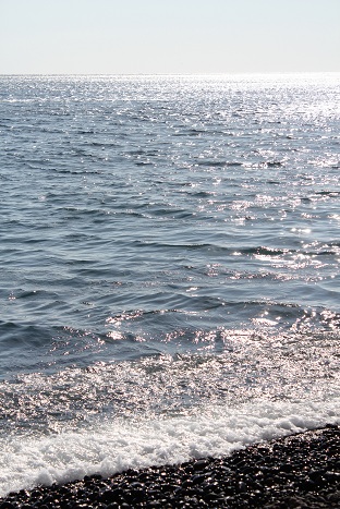 a0281470_1501722.jpg