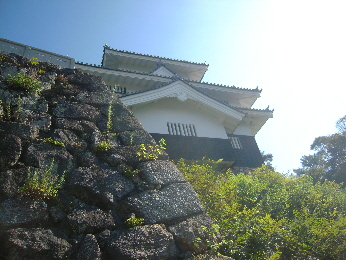 吉田城_e0033570_15354231.jpg