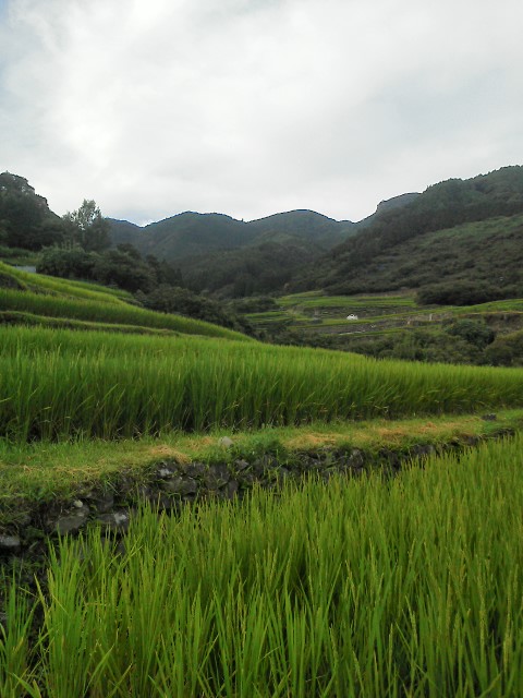 a0232573_2175964.jpg