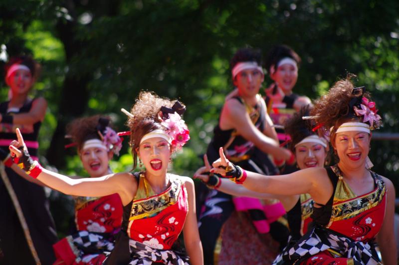 原宿表参道元気祭 スーパーよさこい2012 (2)_b0104774_2155957.jpg