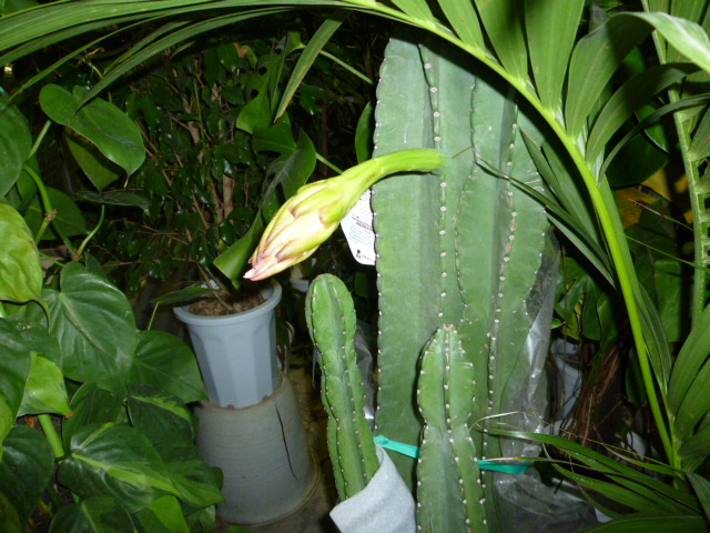 f0200477_23391983.jpg