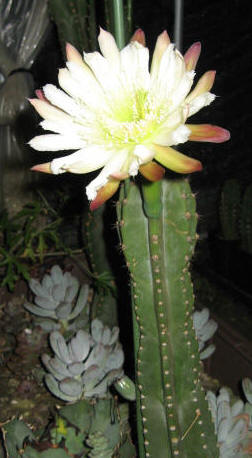 f0200477_23462974.jpg