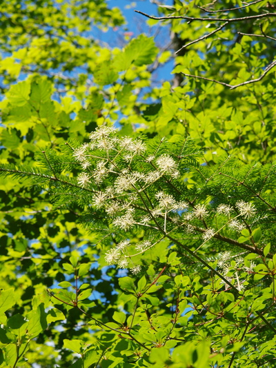 c0055882_22141676.jpg