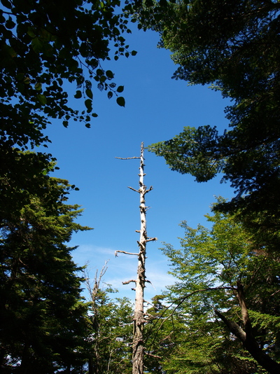 c0055882_2214523.jpg