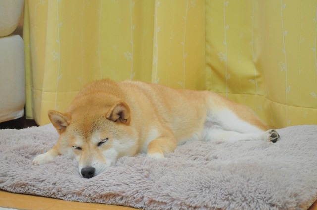 午前0時を過ぎてから_a0126590_0583182.jpg