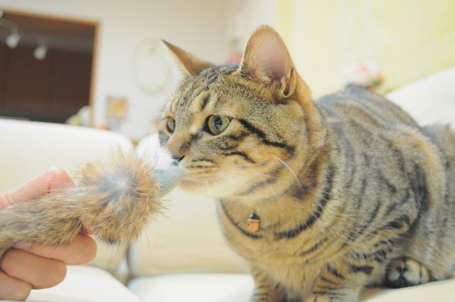 午前0時を過ぎてから_a0126590_059562.jpg