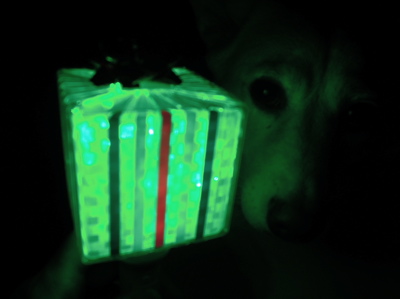 GIFT of…_f0232994_34929.jpg