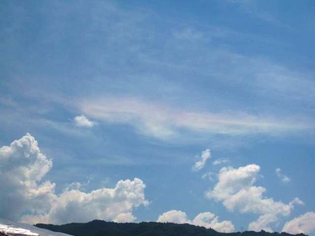 b0028598_1911257.jpg