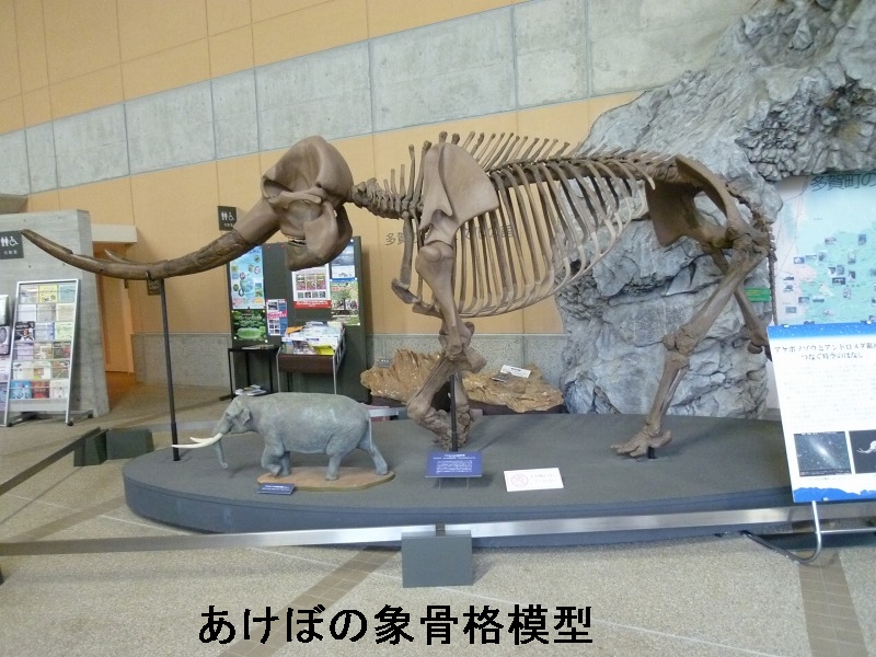 e0159907_827331.jpg