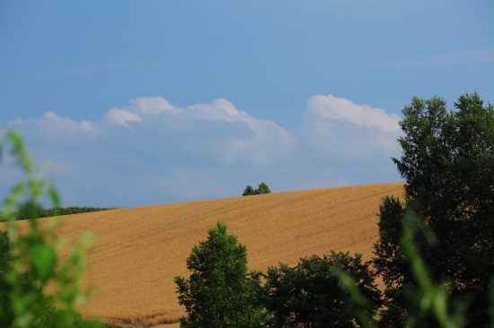 c0211309_073233.jpg