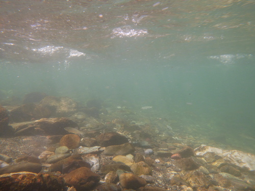a0236914_1755238.jpg