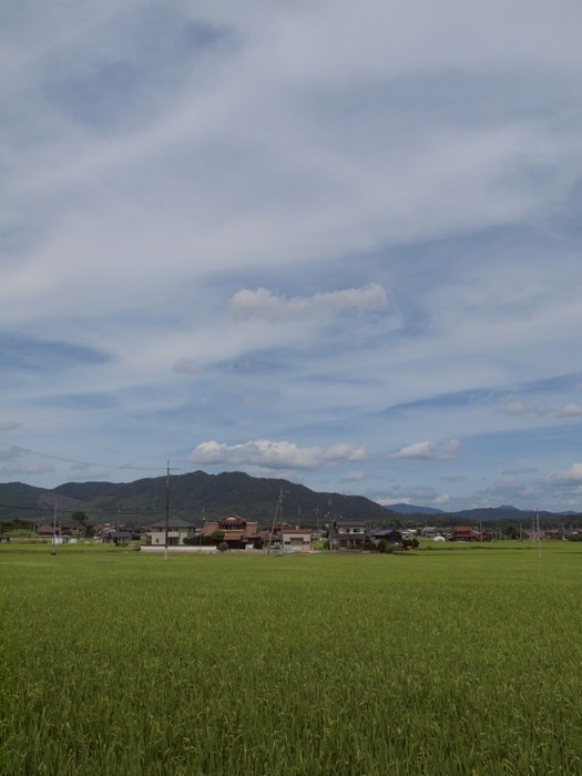 東広島へ_c0116915_0345363.jpg