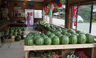 この夏最後の山スイカ_a0259619_1442474.jpg