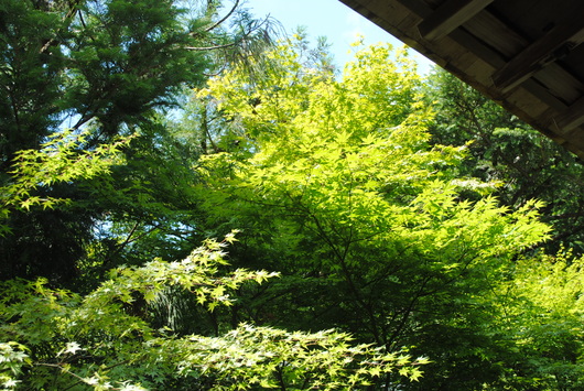 b0209919_23323489.jpg