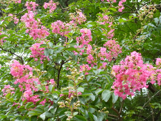 b0209919_23441767.jpg