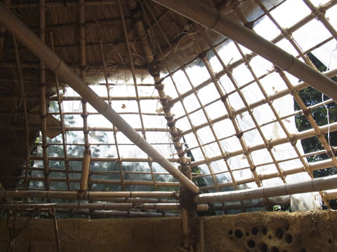 e0156224_142028.jpg