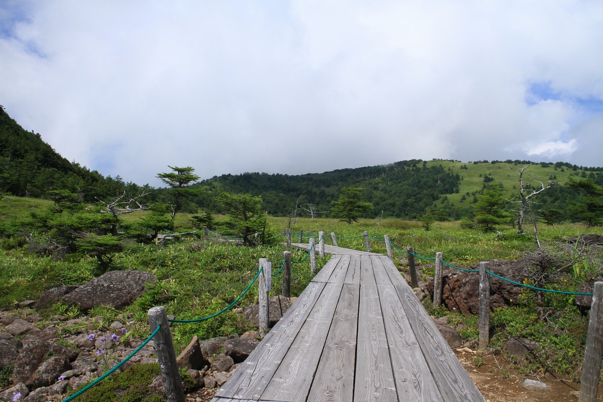 c0104227_81737.jpg