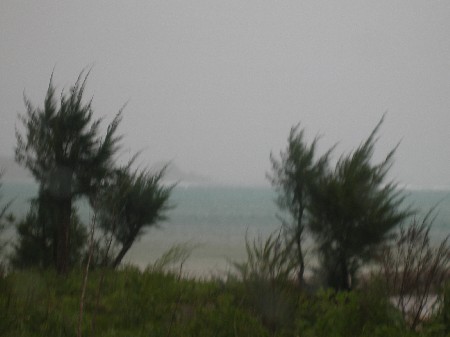 12.8.28 台風15号、去りぬ。_b0100730_15472557.jpg