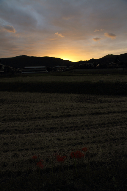 大覚寺 観月の夕べ －北嵯峨のかかし－_b0169330_7442129.jpg