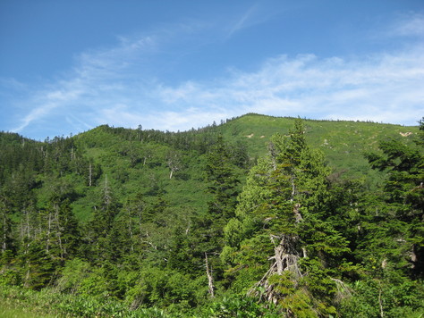 a0158236_98255.jpg
