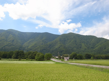 a0014840_2282497.jpg