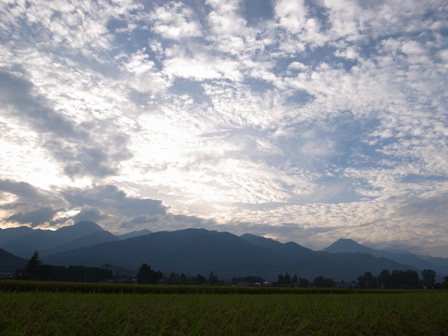 a0014840_2326291.jpg