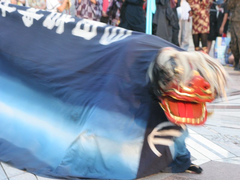 e0243743_1743710.jpg