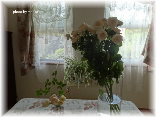thanks 薔薇_d0165645_1145224.jpg