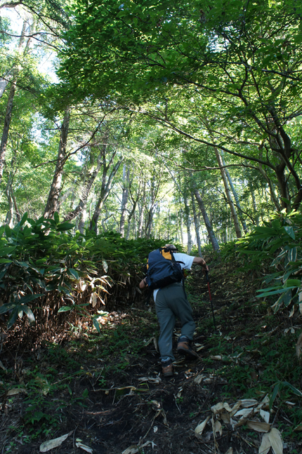 三瓶山＊秋の気配＊①_f0214649_20301726.jpg