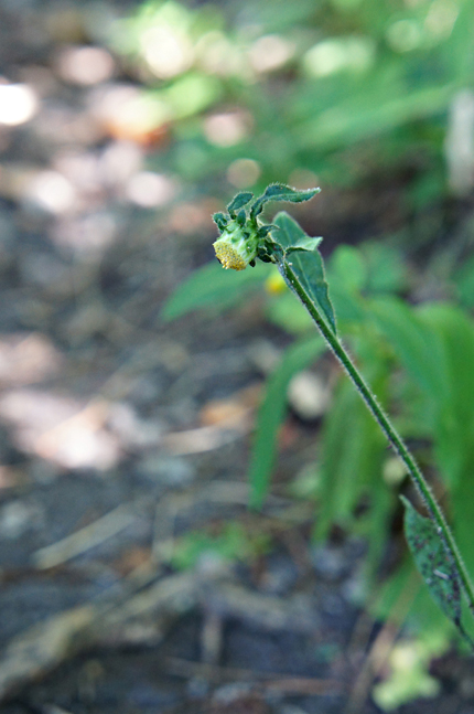 f0214649_2036565.jpg