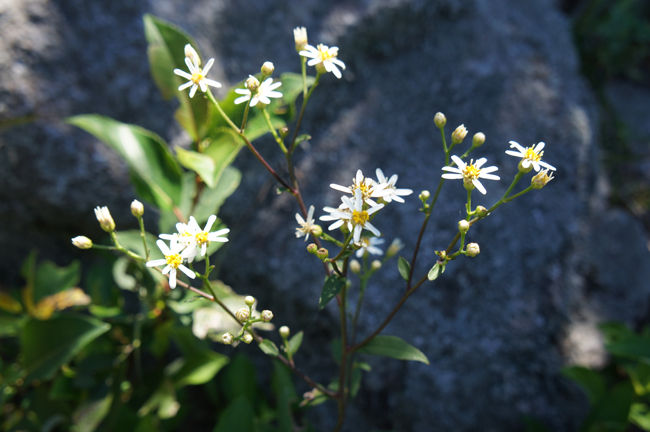 f0214649_20553579.jpg