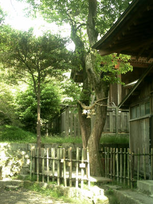 e0033751_19235040.jpg