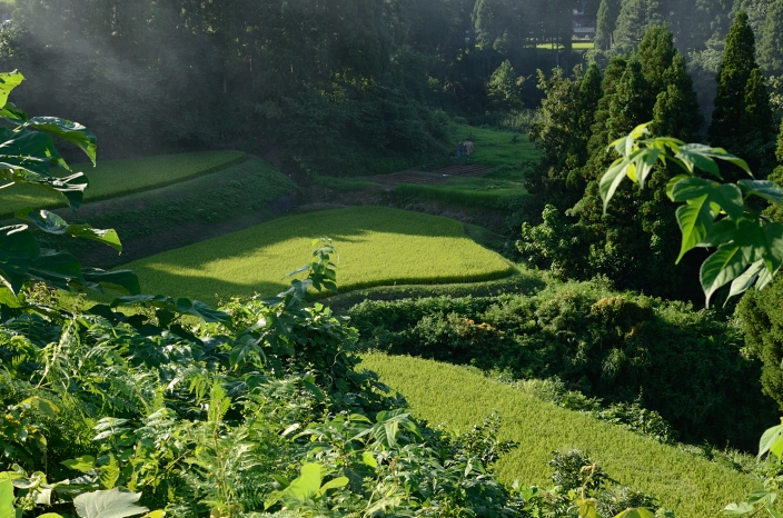 20120819 棚田 富山市山田宿坊_a0263952_2142232.jpg