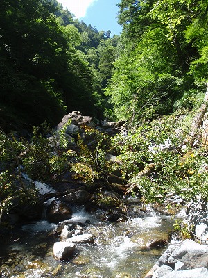 c0097754_21364759.jpg