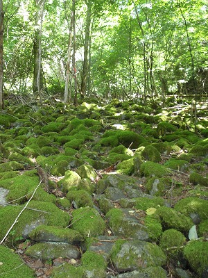 c0097754_21371974.jpg