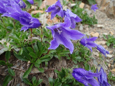 c0097754_2150386.jpg